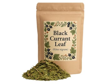 Black Currant Tea | Black Currant Leaf | Ribes nigrum Premium Grade | Herbal