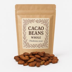 Cacao Beans Whole | Criollo | Organic | Theobroma Cacao | Cocoa Beans |  Premium Quality Premium Grade | Herbal