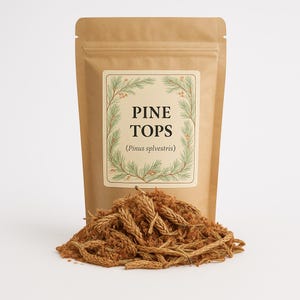 Pine Tops | Pine Tops | White Pine Tops | Pine Needle Tea | Pine Tops Tea | Turiones Pericarpium Premium Grade | Herbal