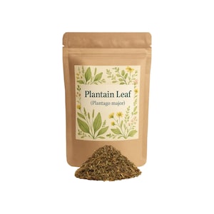 Plantain Leaf | Plantain | Plantago major | Plantain Tea | Plantain Leaves | Plantain Cut Leaves |