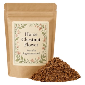Horse Chestnut Flower | Aesculus hippocastanum Premium Grade | Herbal