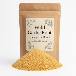 Bärlauchwurzel | Bärlauchwurzel | Allium Ursinum Premium Grade | Pflanzlich