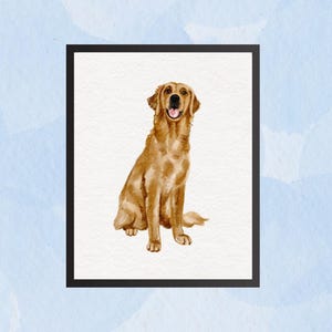 Golden Retriever Digital Artwork - Printable Art