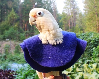 Parrot Clothes for Birds that Pluck