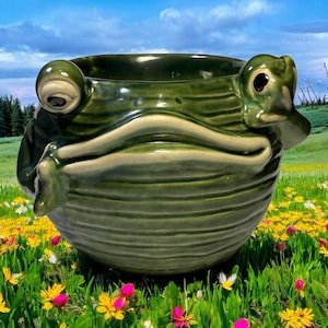 Whimsical Frog Planter Hand built Clay Unique Flower Pot Vase Novelty