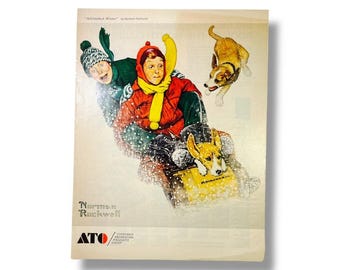 Adirondack Winter Norman Rockwell Magazine Ad Consumer Recreation Products Group