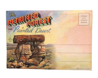 Petrified Forest and Painted Desert Postcard Folio Curteichcolor 1940's