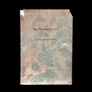 The Wonderful City, Poetry, Dwight Edwards Marvin, 1924, Dodd, Presumed First Ed, Soft Cover, FREE Domestic Shipping!