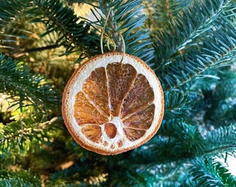 Puede incluir: Adorno navideño de rodaja de naranja seca con un colgador de alambre dorado, colgado de una rama verde de árbol de Navidad. La rodaja de naranja es de color marrón cálido con corteza blanca, creando una decoración natural.