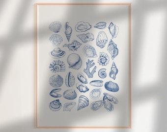 Blue Seashell Wall Art, Sea Shells Dorm Room Decor, Vintage Ocean Wall Art, Coastal Poster Beach House Decor, Trendy Coastal Coquette Prints