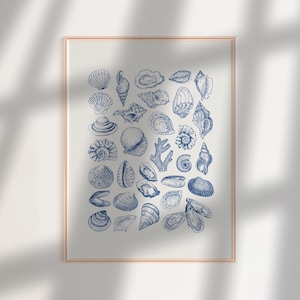 Blaue Muschel Wandkunst, Muscheln Wohnheim Dekor, Vintage Ozean Wandkunst, Küsten Poster Strand Haus Dekor, trendige Küsten Kokette Drucke