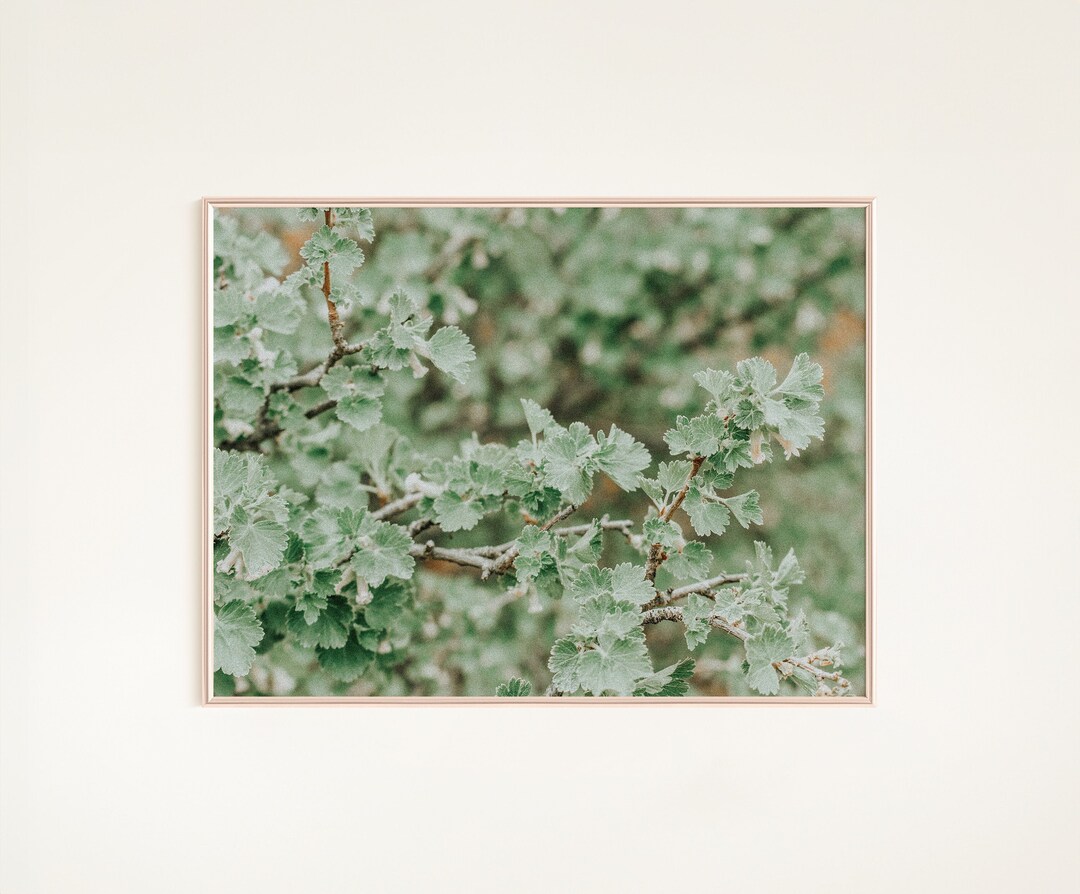 Sage Green Wall Art Print Green Nature Art Neutral Art Prints Eclectic ...