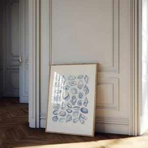 Blue Seashell Wall Art Sea Shells Dorm Room Decor Vintage Ocean Wall Art Coastal Poster Beach Blue Seashell Wall Art Sea Shells Dorm Room Decor Vintage Ocean Wall Art Coastal Poster Beach