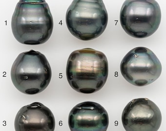 13, 14, 15mm Tahitian Pearl with Natural Color and Minor Blemishes, Loose Undrilled for Jewelry Making, SKU # 3379H