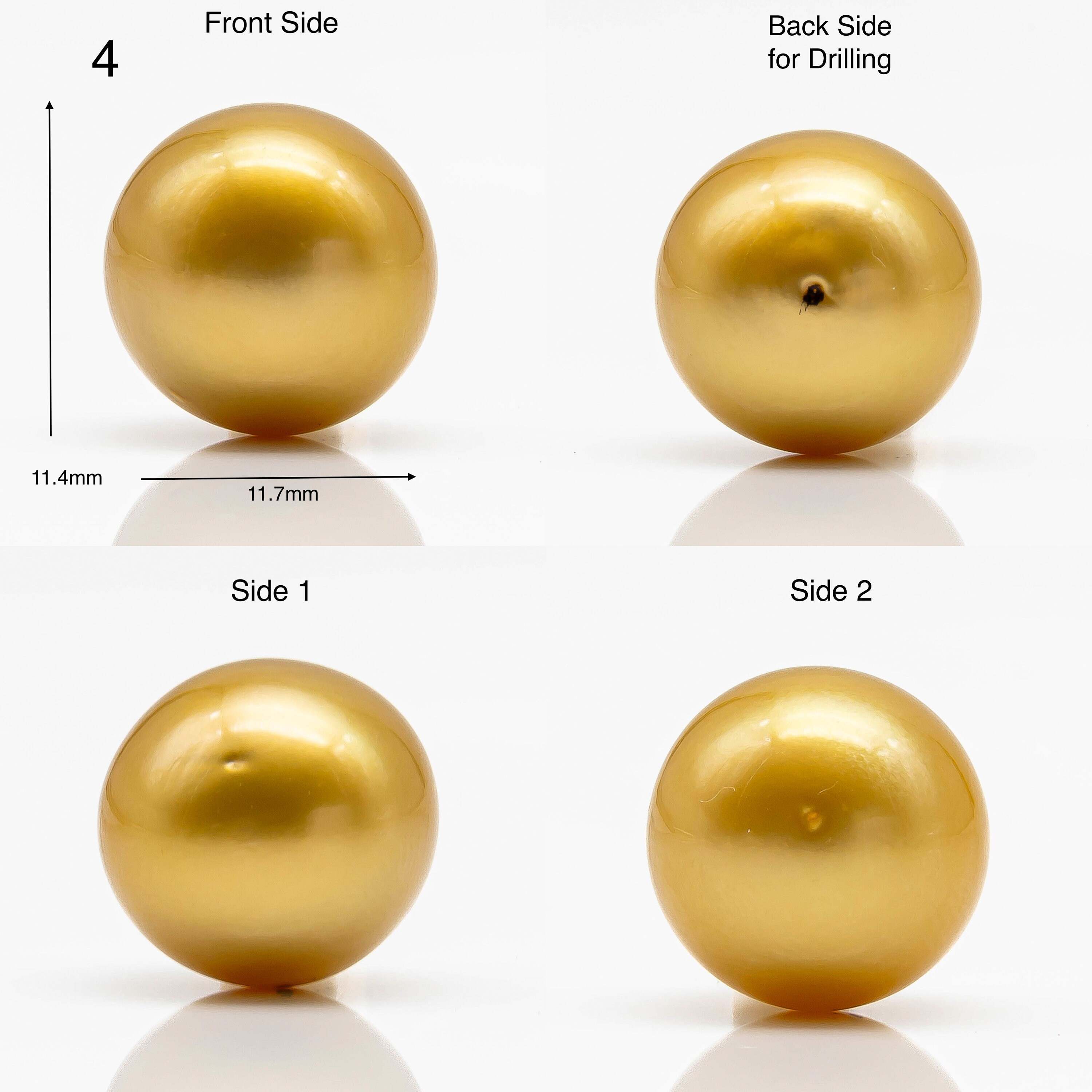10-12mm Gold South Sea Pearl in Round Single Piece Undrilled, All