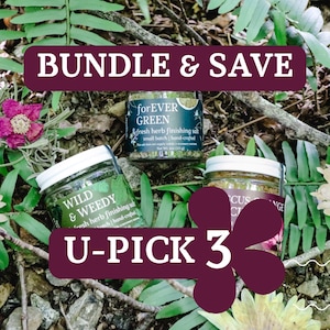 Herb Infused Flavored Salt Gift Set Gourmet Finishing Salt for Foodie Gifts for Home Cook Rosemary Salt Herb Infused Salt Blend Kitchen Gift