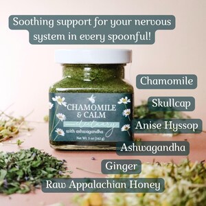 A square glass jar of Chamomile & Calm Herbal Honey Electuary with Ashwagandha. The label on the jar is a deep blue with a beautiful botanical design and the honey in the jar is a vibrant green color from powdered medicinal herbs. The jar sits against a light pink backdrop and is surrounded by small piles of dried herbs including chamomile tea, skullcap, and anise hyssop. The image contains a text overlay that reads: "Soothing support for your nervous system in every spoonful! Chamomile Tea.