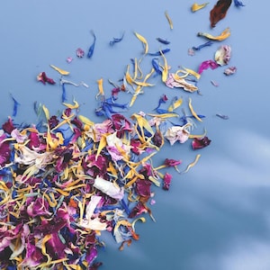 Gedroogde BIOLOGISCHE eetbare bloemen voor cocktails, gebak, kaas, vleeswaren en meer | Bloemenconfetti | Zomeravonden | Cadeaus voor bakkers