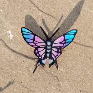 May include: A pink and blue butterfly with black markings on a sandy background.