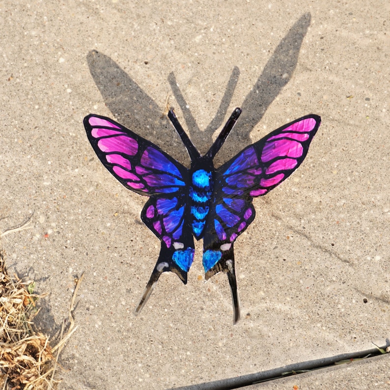 May include: A purple and blue butterfly with black wings and a shadow on a gray concrete surface.