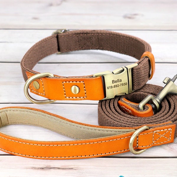 Laisse pour chien personnalisée | Ensemble collier et médaille d'identification | Nylon et cuir véritable | 1,5M