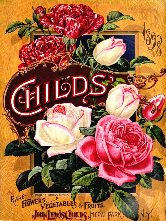 Childs Roses Reproduction Vintage Seed Packet Metal Sign 12x18 Etsy