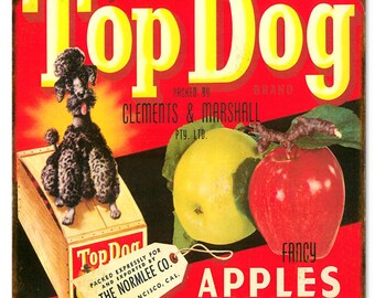 Vintage Top Dog Apple Produce Reproduction Sign 12x12. RG4073