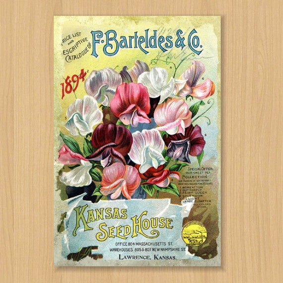 Bouquet Of Flowers Reproduction Vintage Seed Packet Metal Sign Etsy Bouquet Of Flowers Reproduction Vintage Seed Packet Metal Sign Etsy