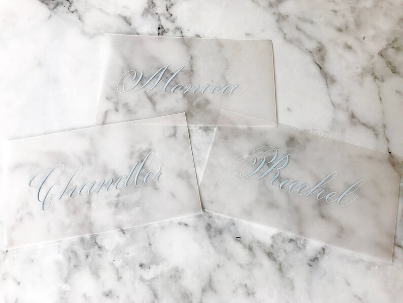 Calligraphy Vellum Placecards Wedding Place Cards Wedding Escort Cards Handwritten Modern Weddings