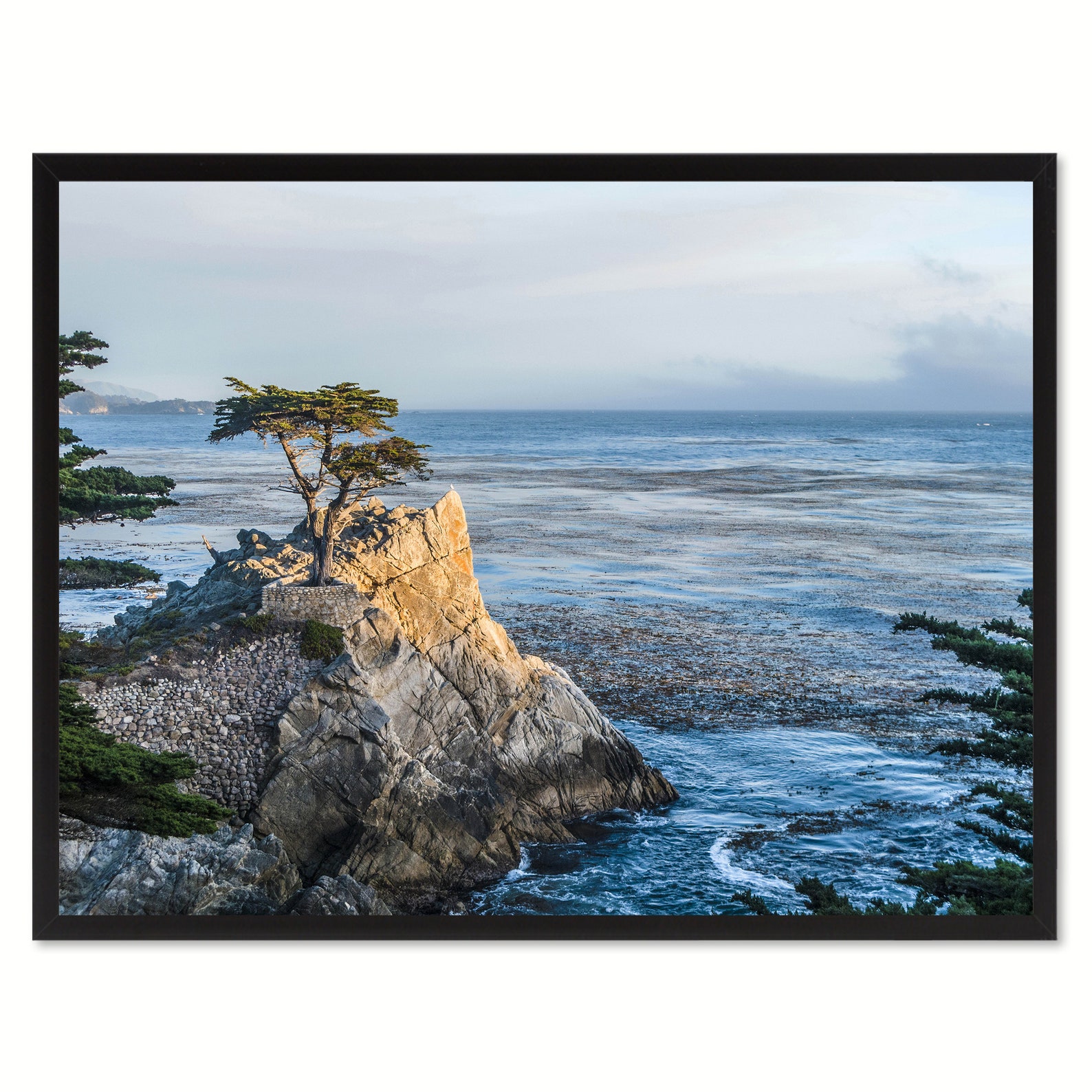 Monterey Cypress Tree Landscape Photo Canvas Print Pictures Etsy España