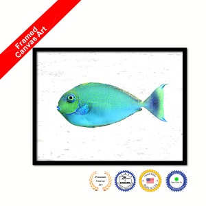 Aqua Tropical Fish Aquatic Marine Life Home Decor Wall Art Decorative Framed Canvas Print  Gift Office Handcrafted Colorful wall Hanging