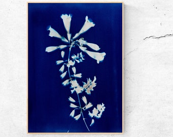 Blue Cyanotype, Art to print, hand print with plants, minimalist style to decorate your home or office. Interior