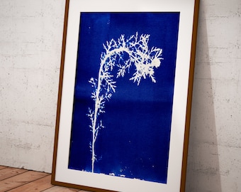 Blue Cyanotype, Art to print, hand printed with plants, minimalist style to decorate your home or office. Interior