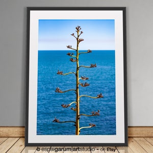 Photographic art of the Mediterranean Sea to print. Minimalist style to decorate your home or office. Interior. Modern image 4