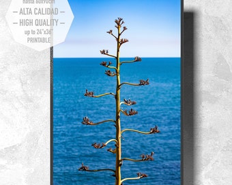 Photographic art of the Mediterranean Sea to print. Minimalist style to decorate your home or office. Interior. Modern