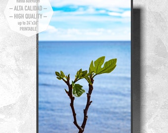 Photographic art of the Mediterranean Sea to print. Minimalist style to decorate your home or office. Interior. Modern