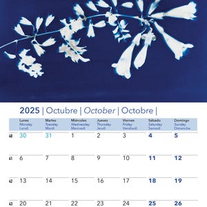 Bon J Hollywood 2026 Wall Calendar, A3 Size 29.7 X 42 Cm, 12 Monthly