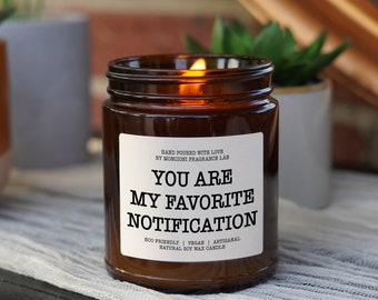 You are my Favorite Notification Scented Soy Candle, Long Distance Couple Gift, Valentine's Gift, Anniversary Gift, Christmas Gift