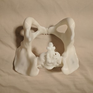 May include: A 3D printed model of a human pelvis, showing the hip bones and sacrum. The model is white and made of plastic.