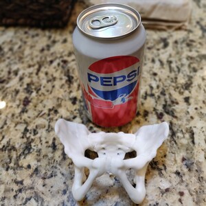 May include: A white plastic model of a human pelvis, sitting on a granite countertop next to a can of Pepsi.