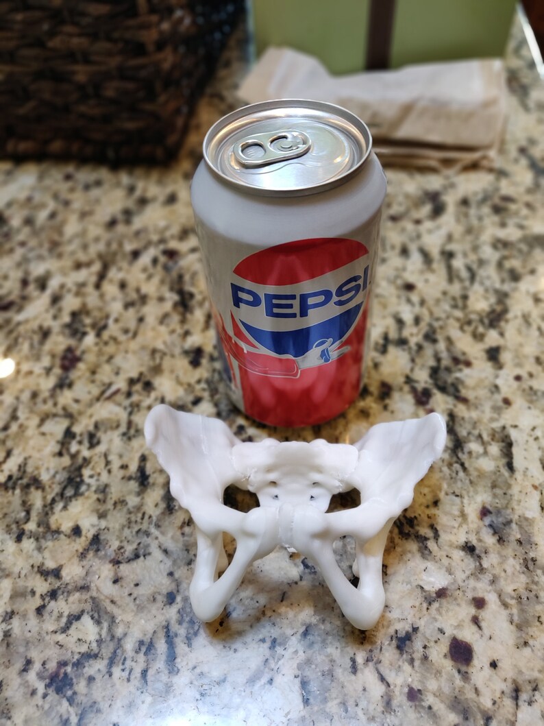 May include: A white plastic model of a human pelvis, sitting on a granite countertop next to a can of Pepsi.