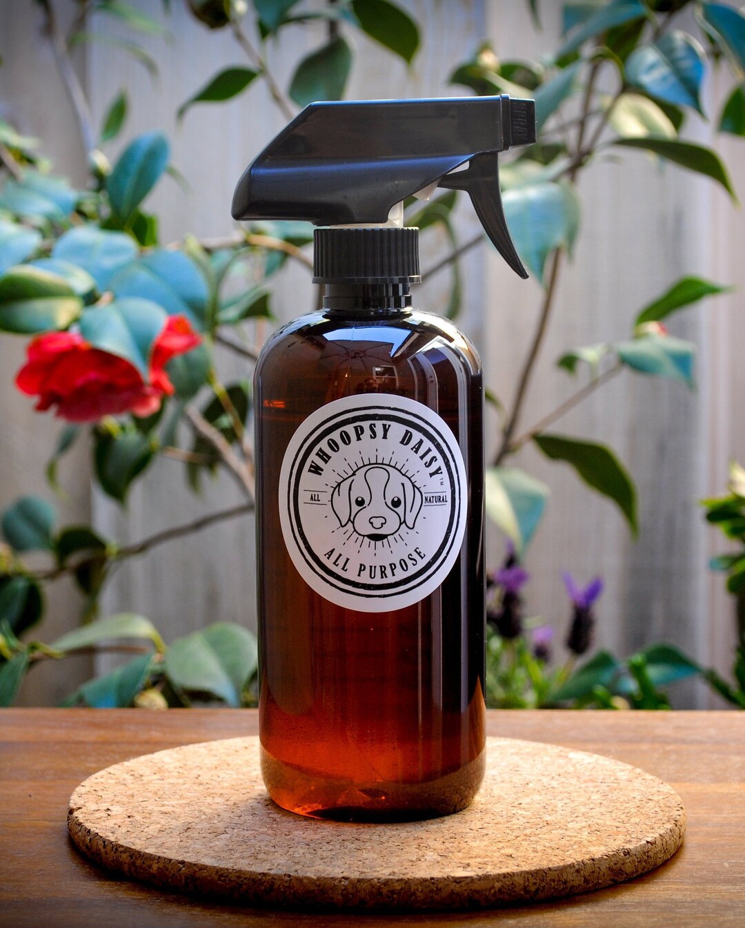 Concrete Deodorizer All Purpose Deodorizer/cleaner. Etsy