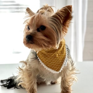 Dog Bandana, Over The Collar Bandana, Pet Accessories, Slip Bandana, Gift For Dogs, Cat Bandana, Tie Scarf, present for pet birthday