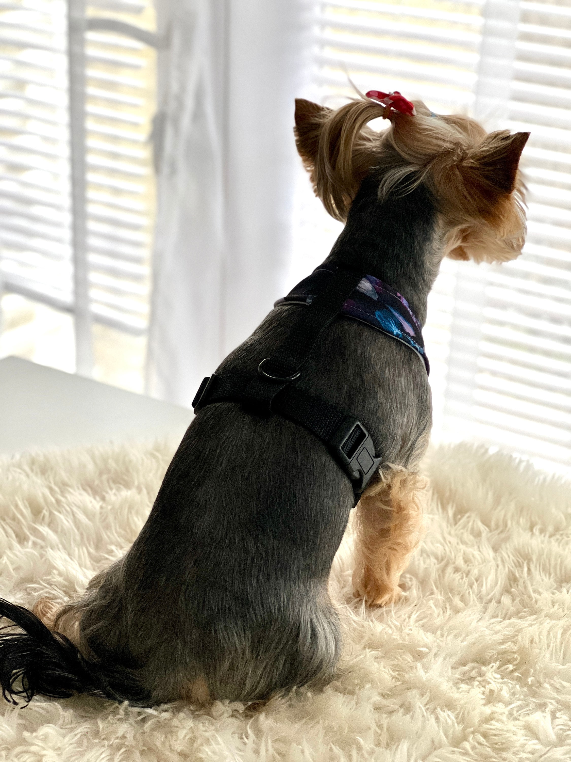 Henri Cotton Cat & Dog Harness main image 1