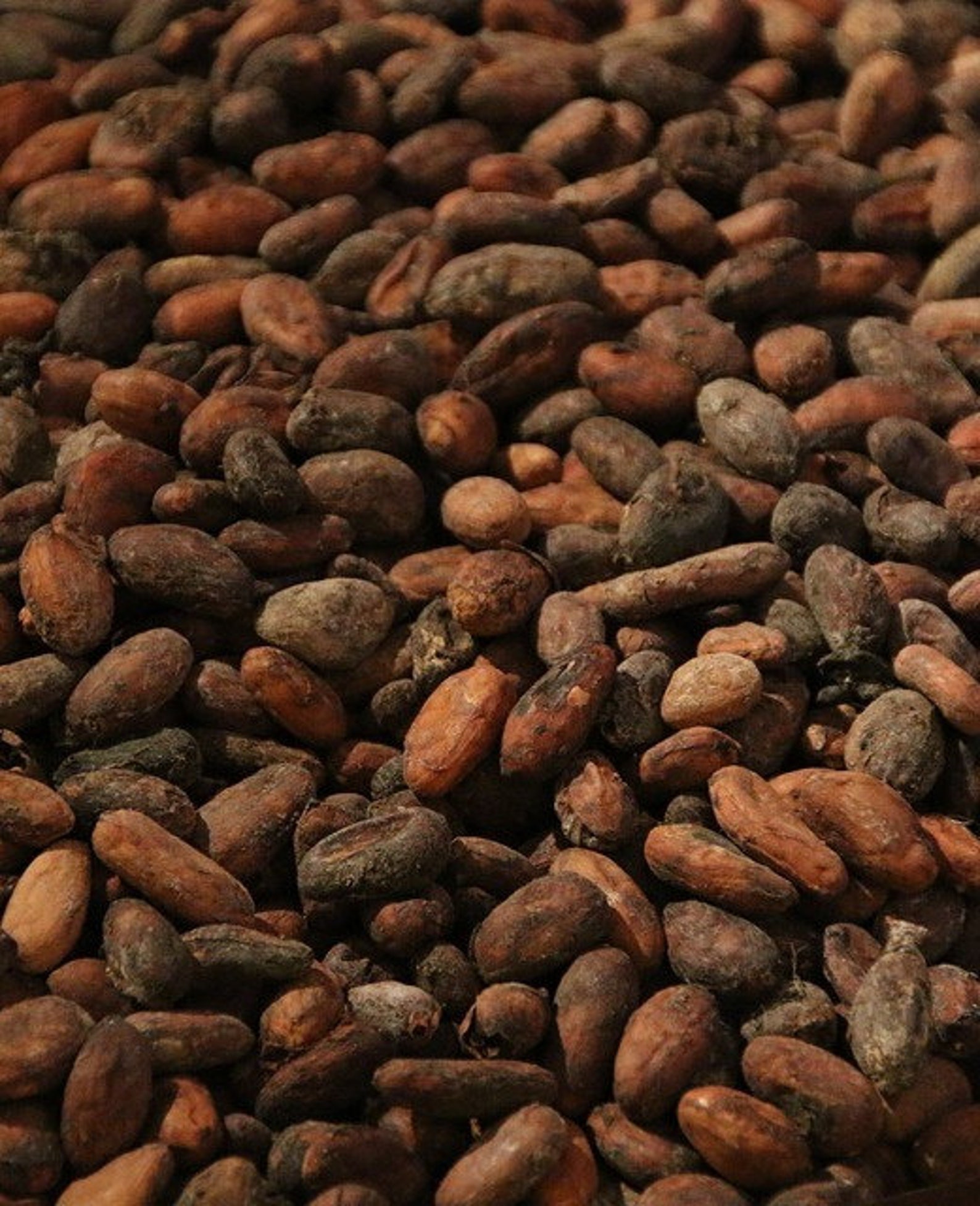 Raw Cocoa Butter Traditional West African Blend 100 Pure Etsy