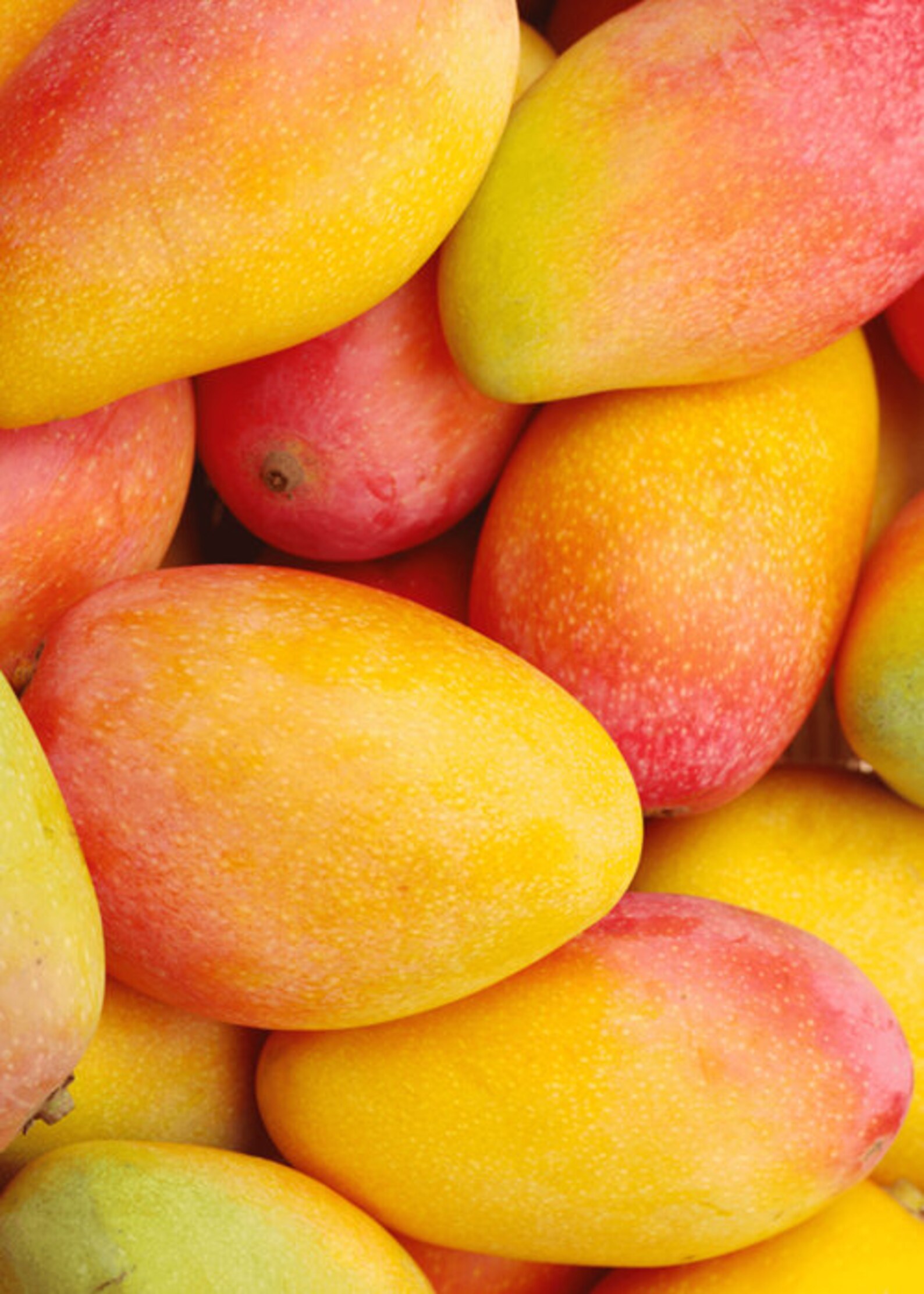 Handcrafted Mango Butter 100 Pure Traditional West African Blend Queen