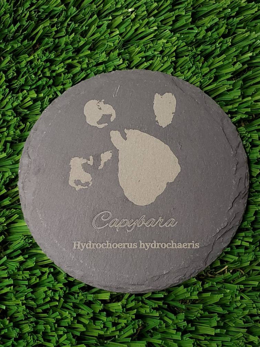 Capybara Paw Print on a Slate Coaster or Decorative Circle Etsy
