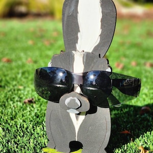 Skunk Eyeglass Glasses Holder