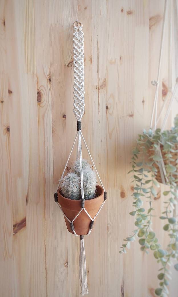 Porte Plante. Suspensión Pour Plante