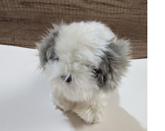 TY Beanie Babies Furston the Sheepdog Grey White Plush Dog 2003 Stuffed Animal